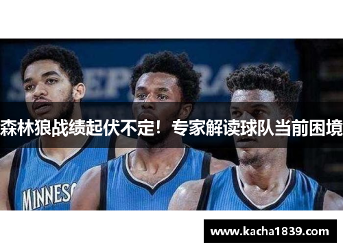 森林狼战绩起伏不定！专家解读球队当前困境